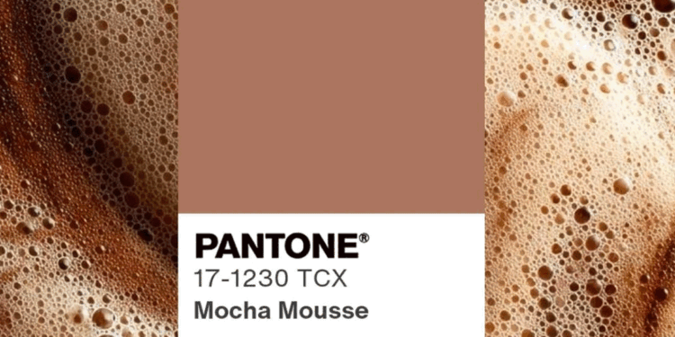 MOCHA MOUSSE