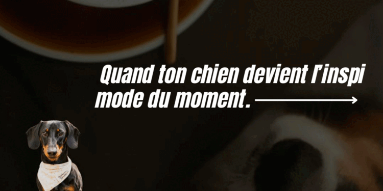 QUAND TON CHIEN DEVIENT L&rsquo;INSPI MODE DU MOMENT