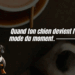 Quand ton chien devient l&rsquo;inspi mode du moment.
