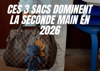 CES 3 SACS DOMINENT LA SECONDE MAIN EN 2026