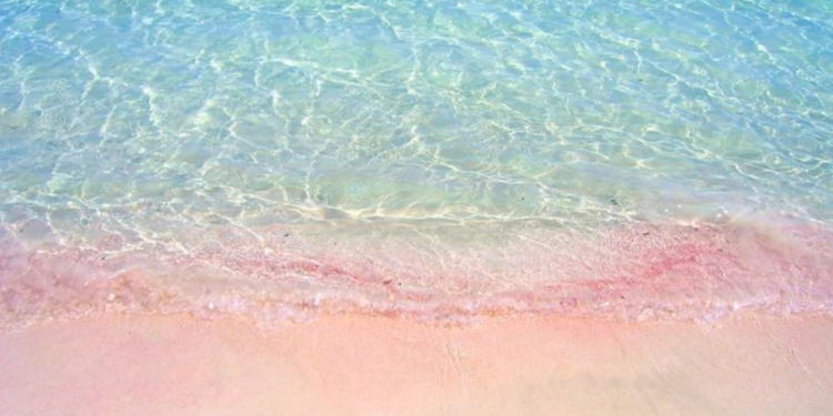 5 plages au sable rose à découvrir