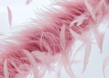 De fausses plumes qui préservent la planète ?
