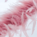 De fausses plumes qui préservent la planète ?
