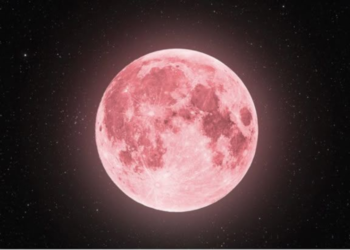 Une lune rose qui illumine le ciel ?
