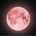 Une lune rose qui illumine le ciel ?
